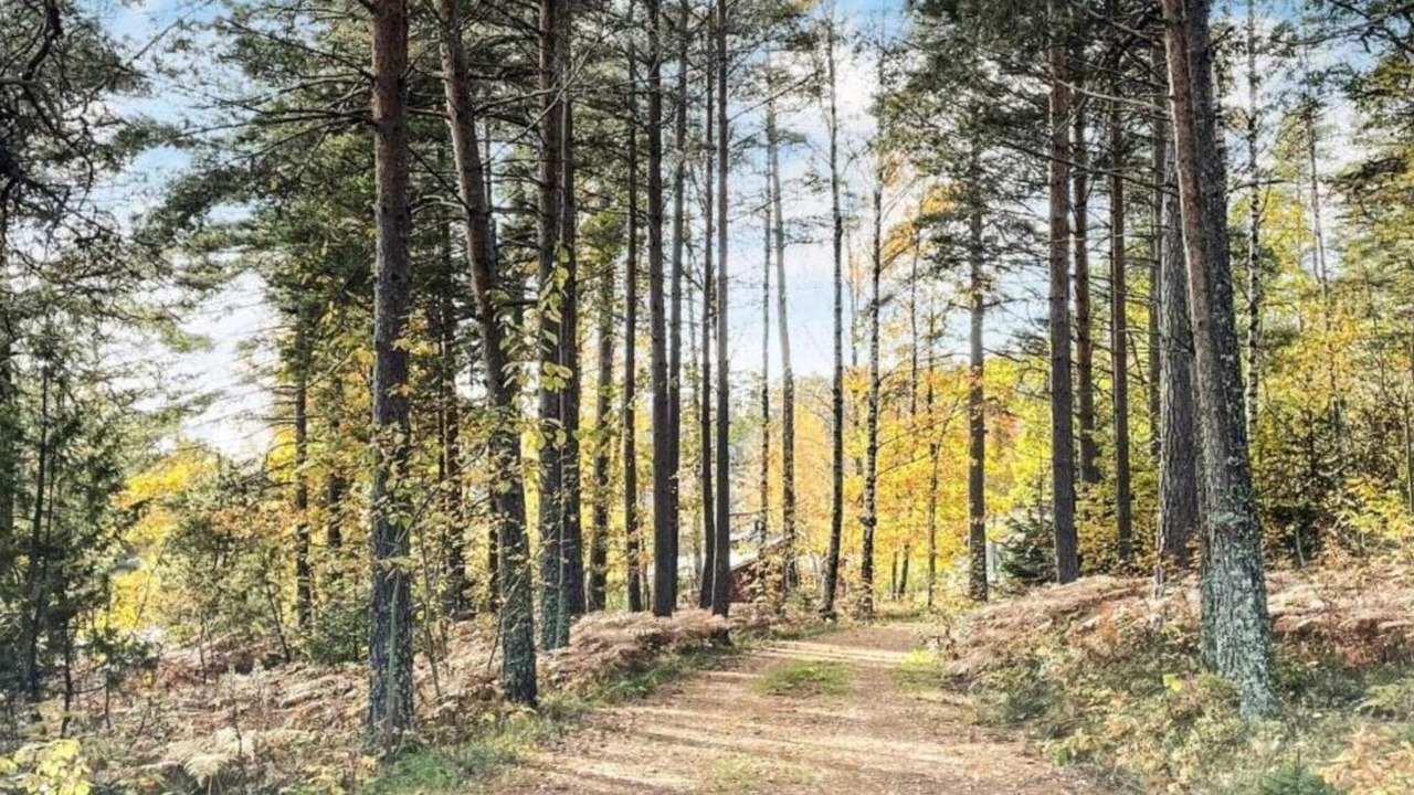 Photo of Others in Fengersfors