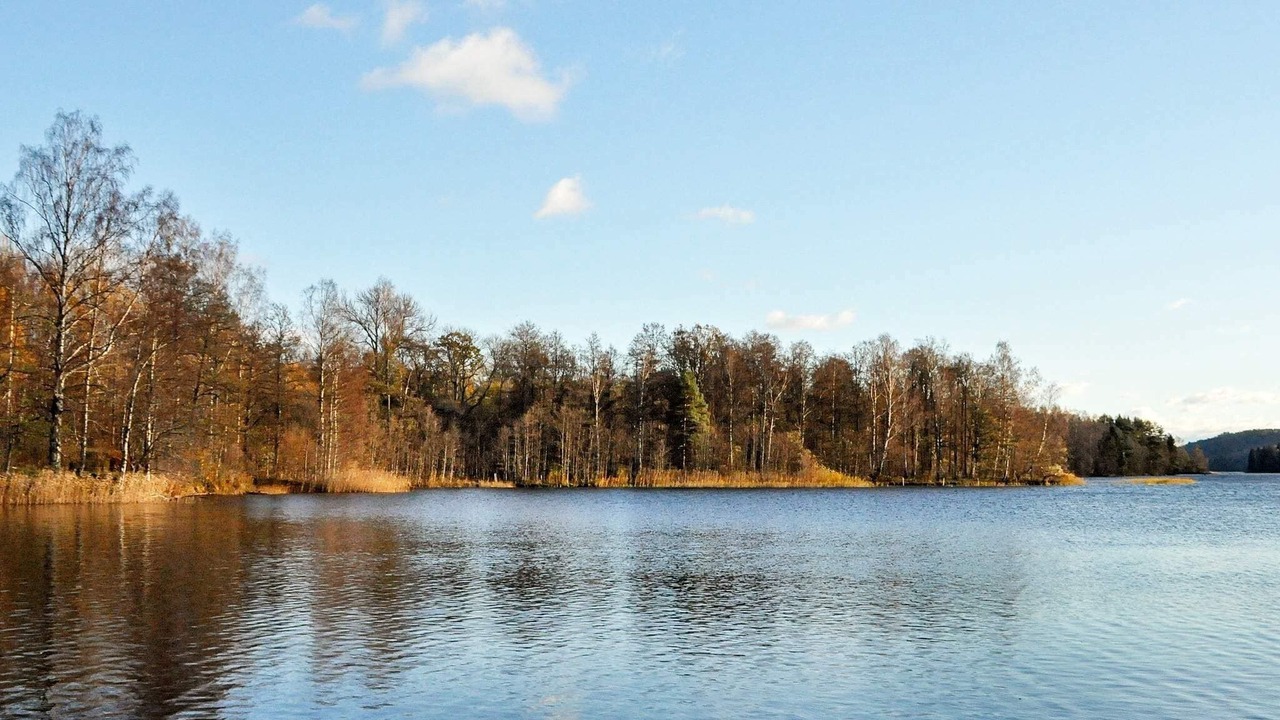 Photo of Others in Fengersfors