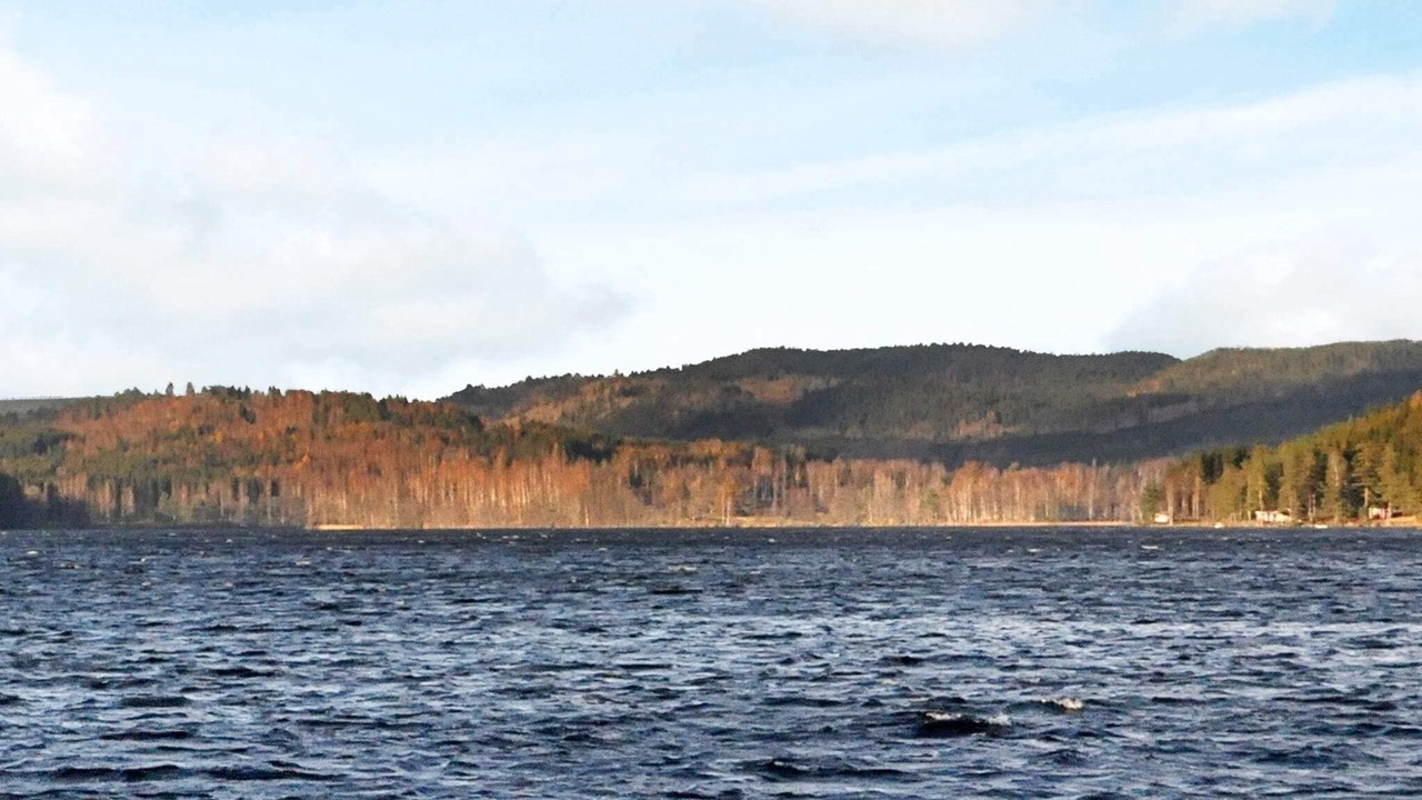 Photo of Others in Fengersfors