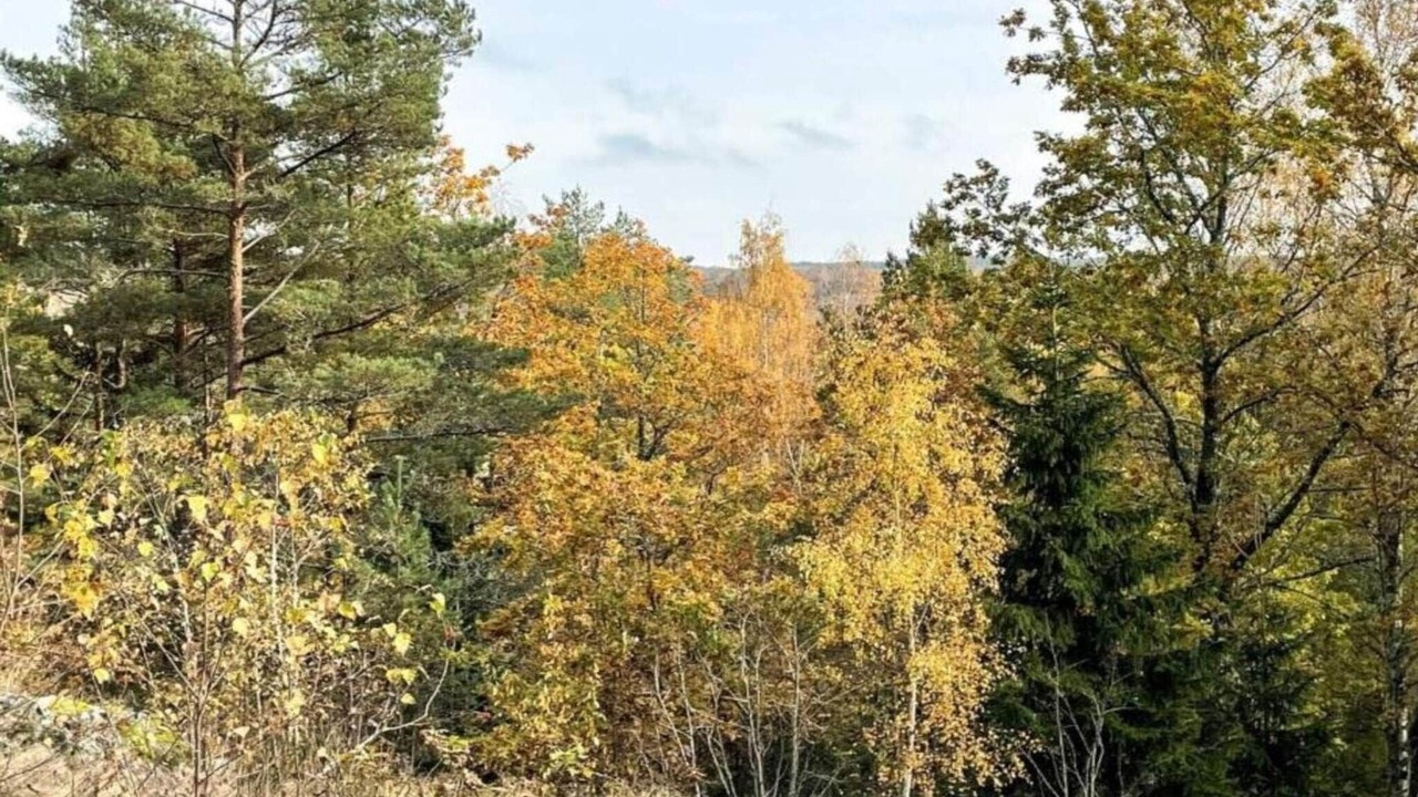 Photo of Others in Fengersfors
