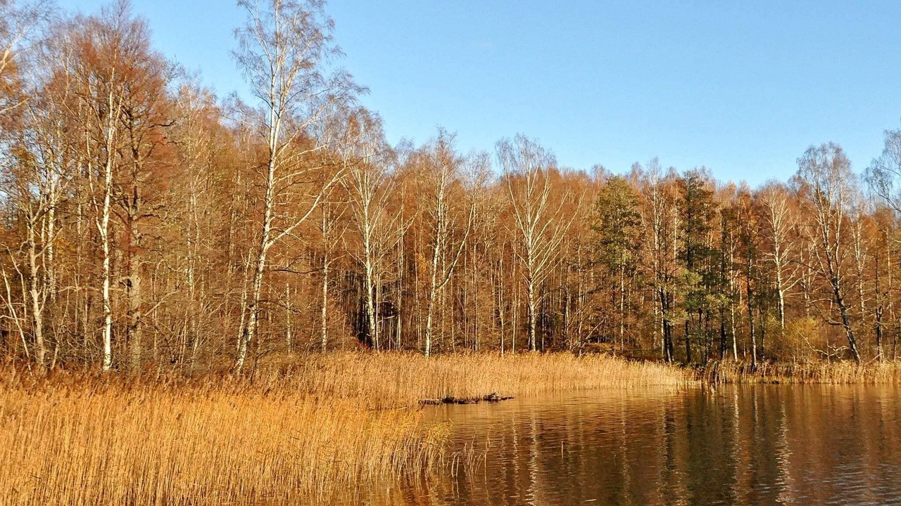 Photo of Others in Fengersfors