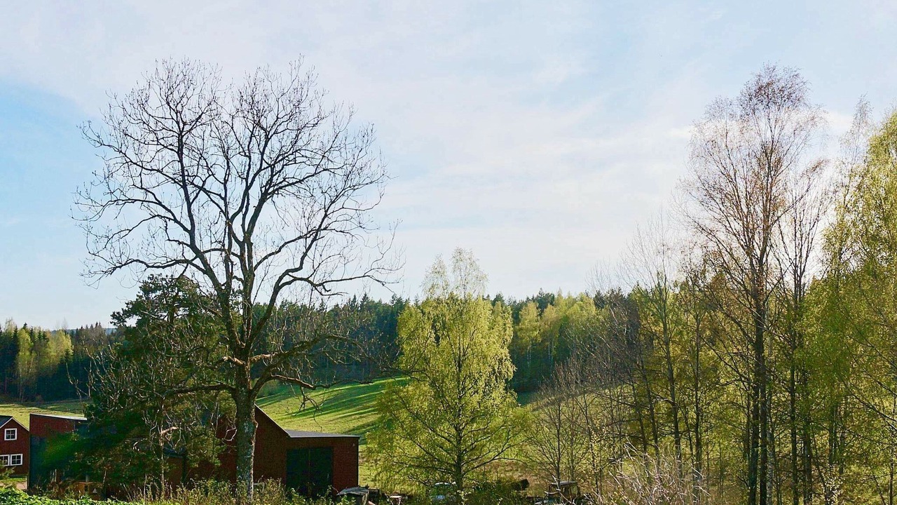 Photo of Outdoor in Fengersfors