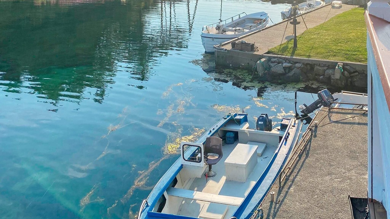 Photo of Outdoor in Bokn