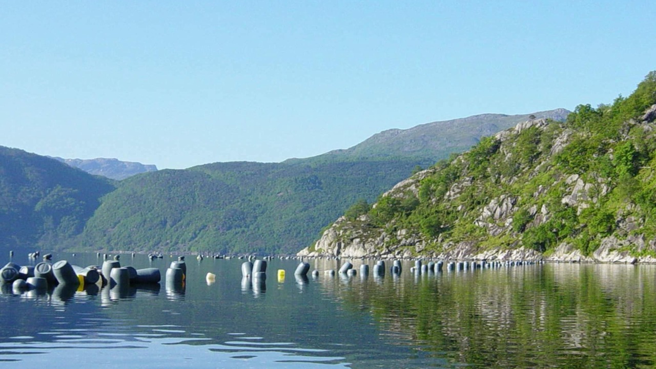 Photo of Others in Kvinnherad