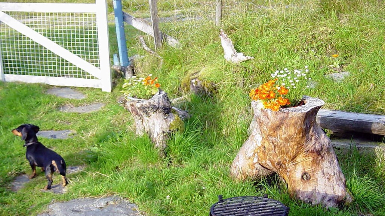 Photo of Outdoor in Kvinnherad