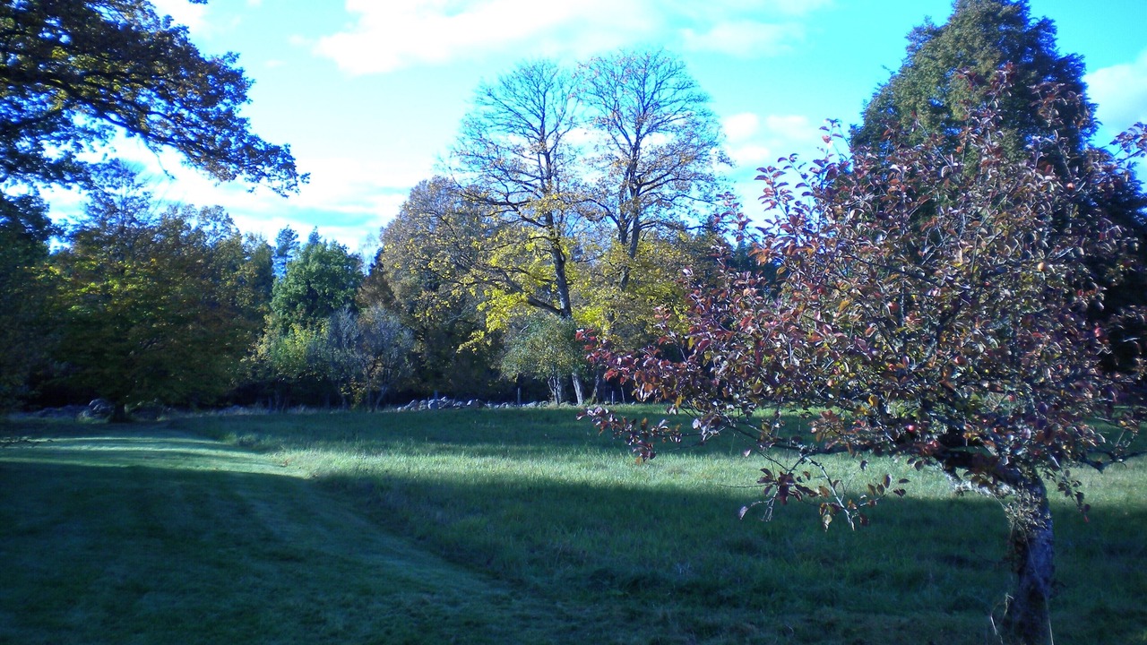 Photo of Outdoor in Lammhult