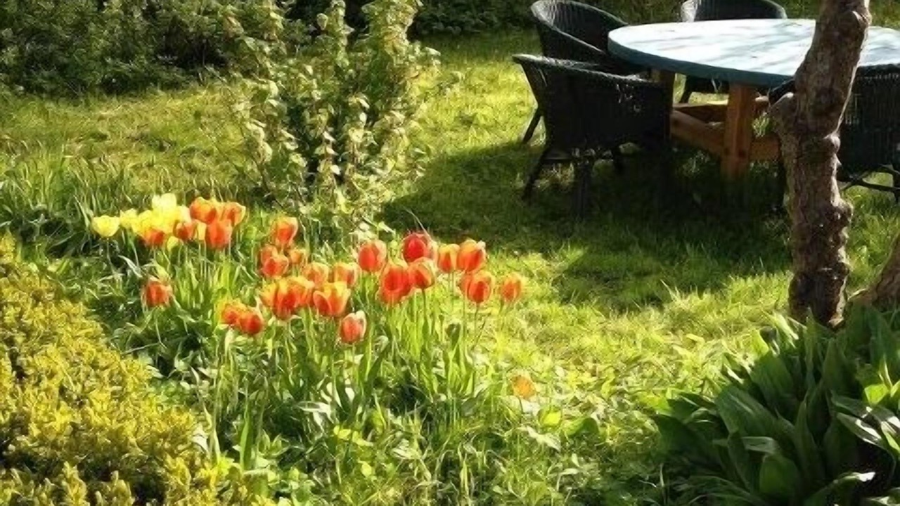 Photo of Outdoor in Loderup