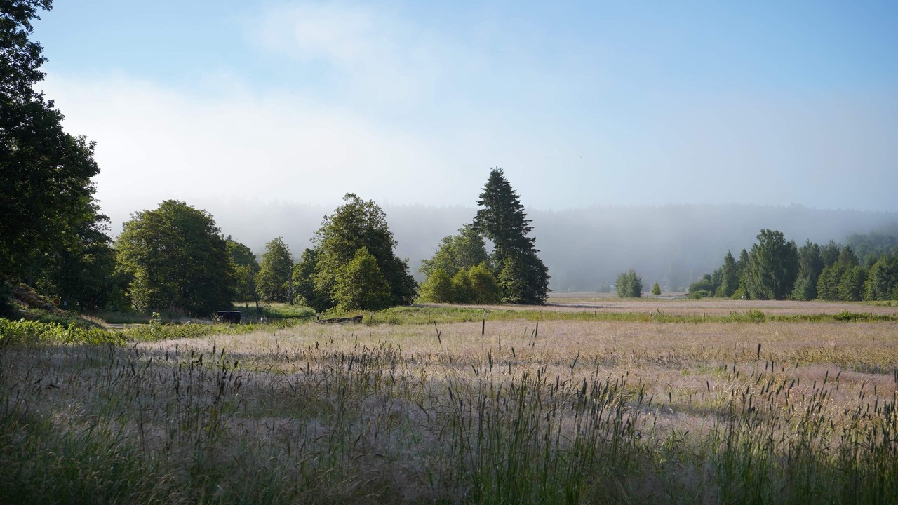 Photo of Outdoor in Fargelanda