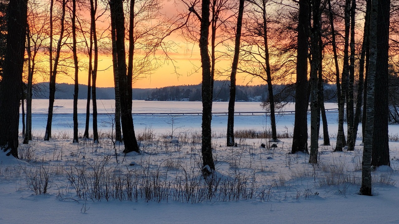 Photo of Outdoor in Fargelanda