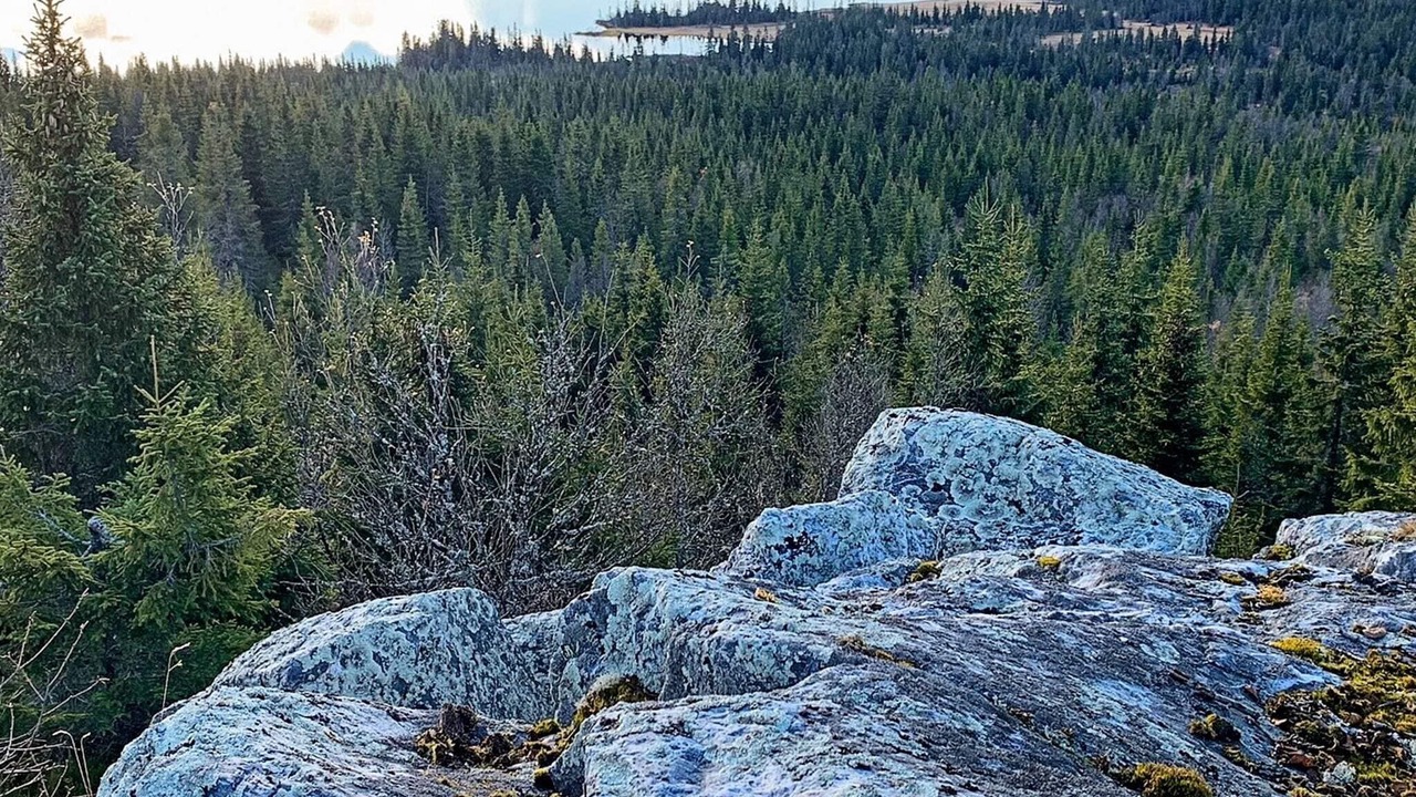 Photo of Others in Skeikampen