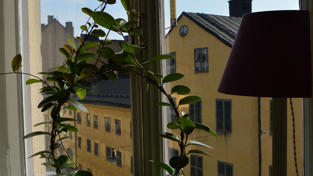 Photo of Others in Ostermalm
