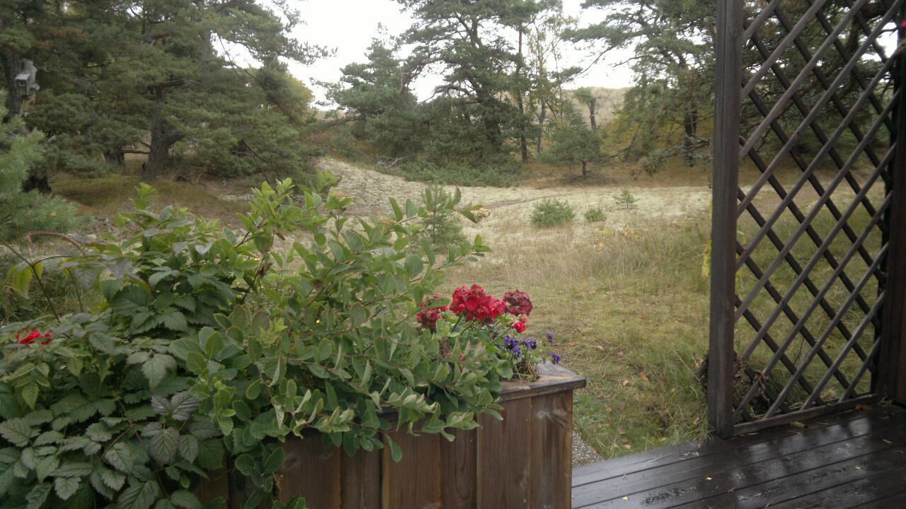 Photo of Outdoor in Yngsjo