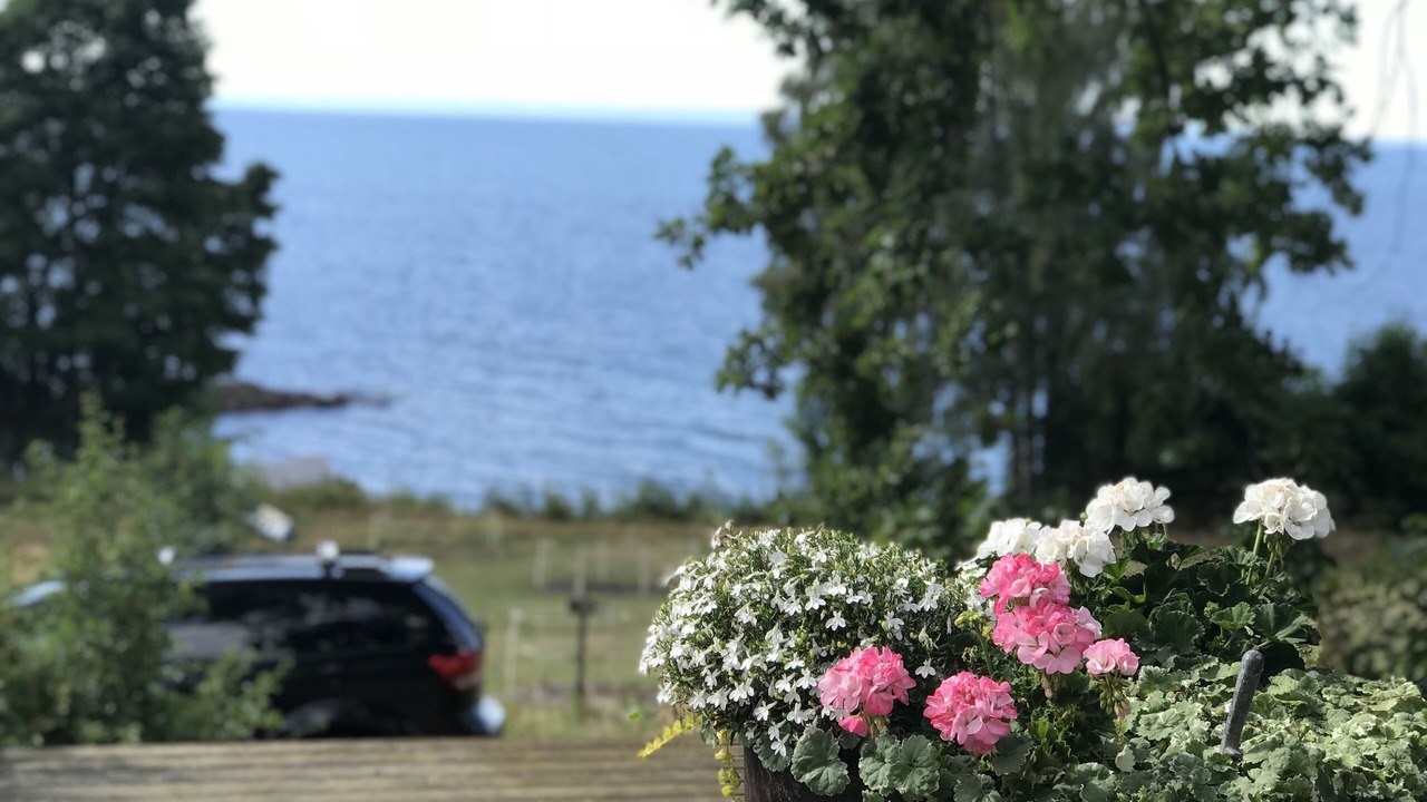 Photo of Outdoor in Odeshog Municipality