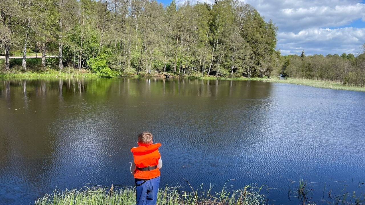 Photo of Others in Markaryd