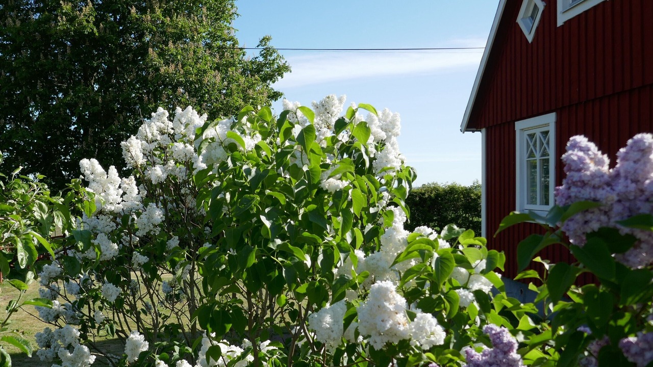Photo of Outdoor in Laholm