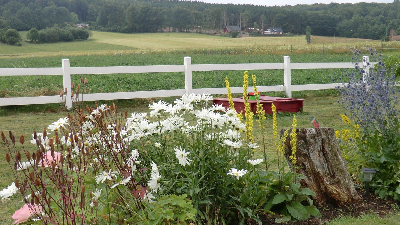 Photo of Outdoor in Laholm
