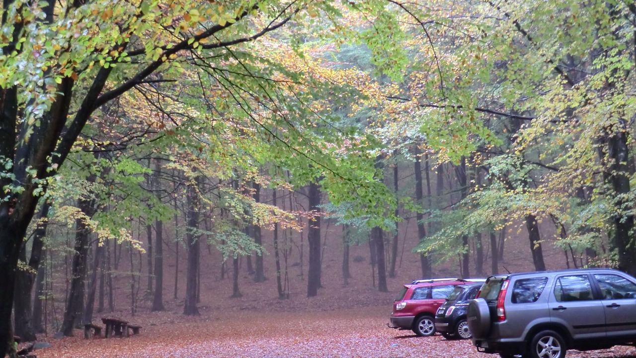 Photo of Outdoor in Laholm