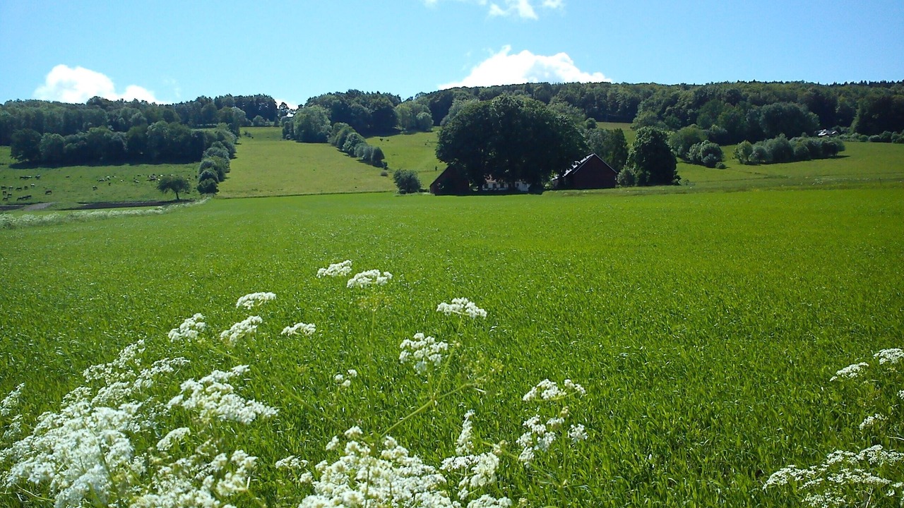 Photo of Others in Laholm