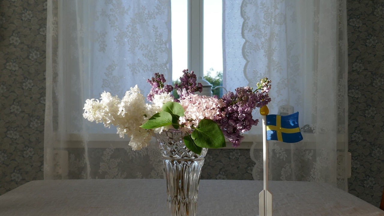 Photo of Others in Laholm