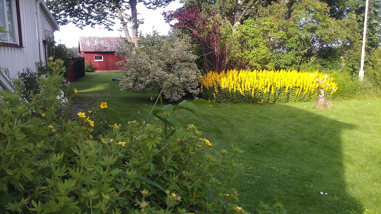 Photo of Outdoor in Grastorp