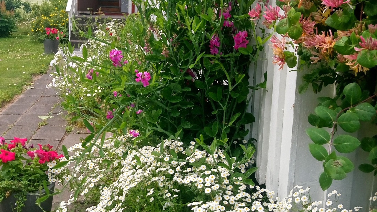 Photo of Outdoor in Grastorp