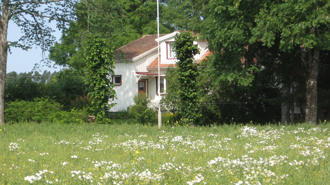 Photo of Outdoor in Grastorp