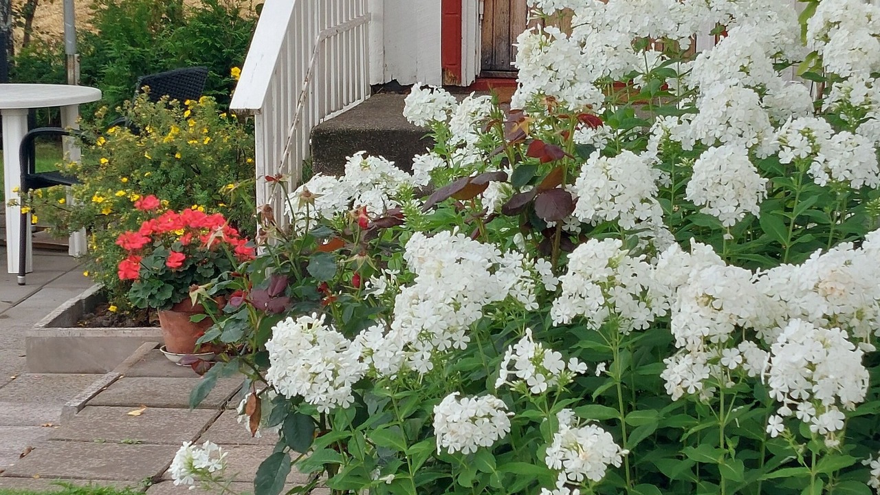 Photo of Outdoor in Grastorp