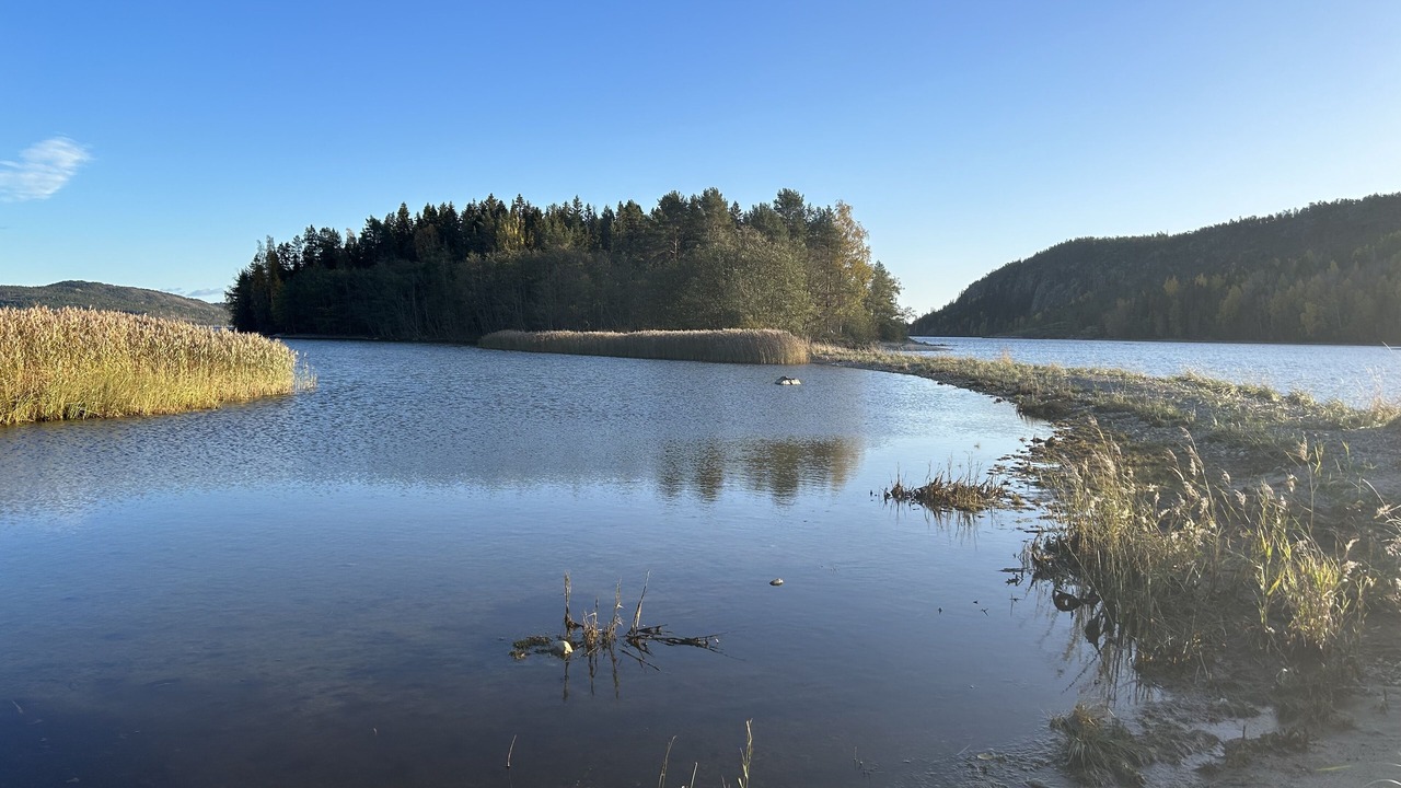 Photo of Others in Kopmanholmen