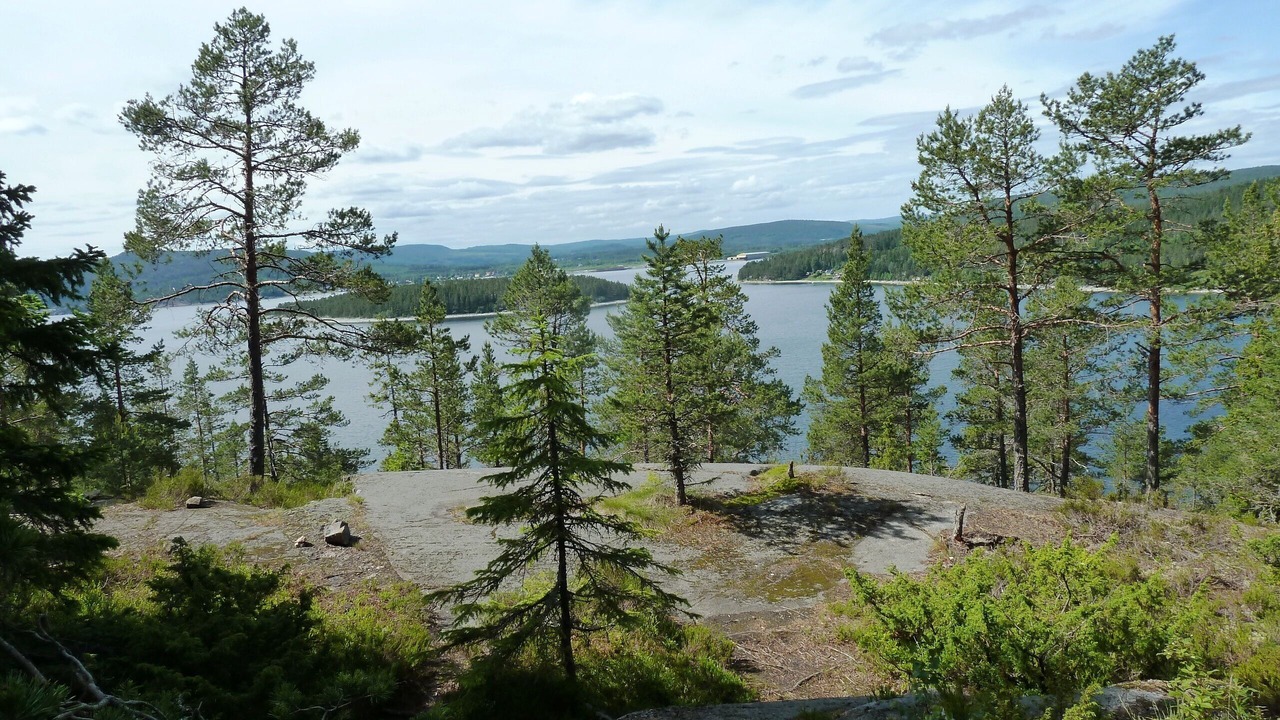 Photo of Outdoor in Kopmanholmen