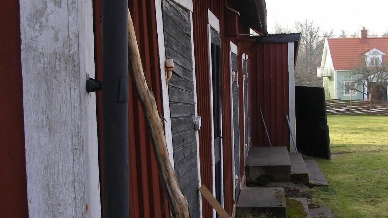 Photo of Outdoor in Paulistrom