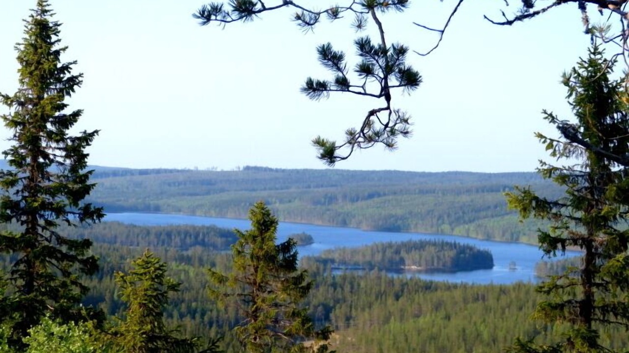 Photo of Outdoor in Bispgarden