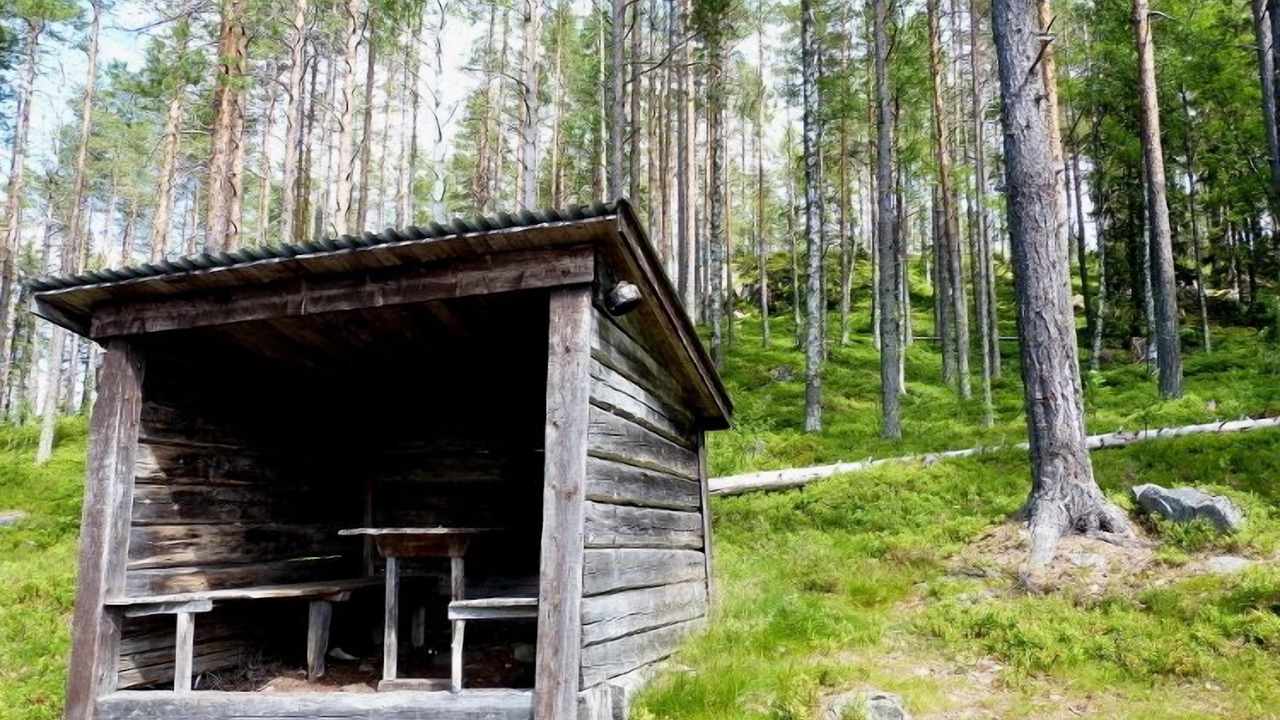 Photo of Outdoor in Bispgarden