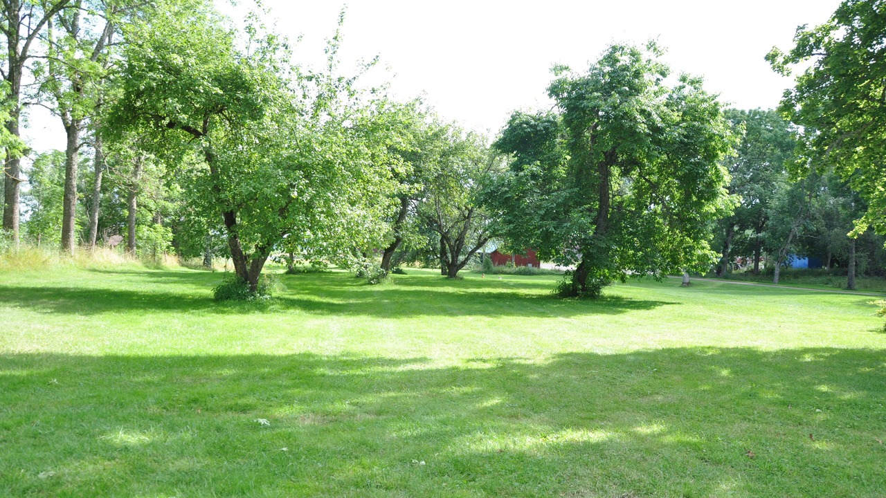Photo of Outdoor in Moholm