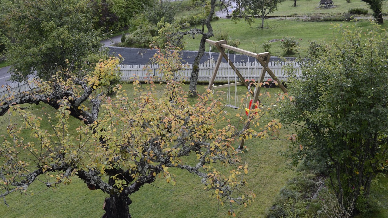 Photo of Outdoor in Totebo