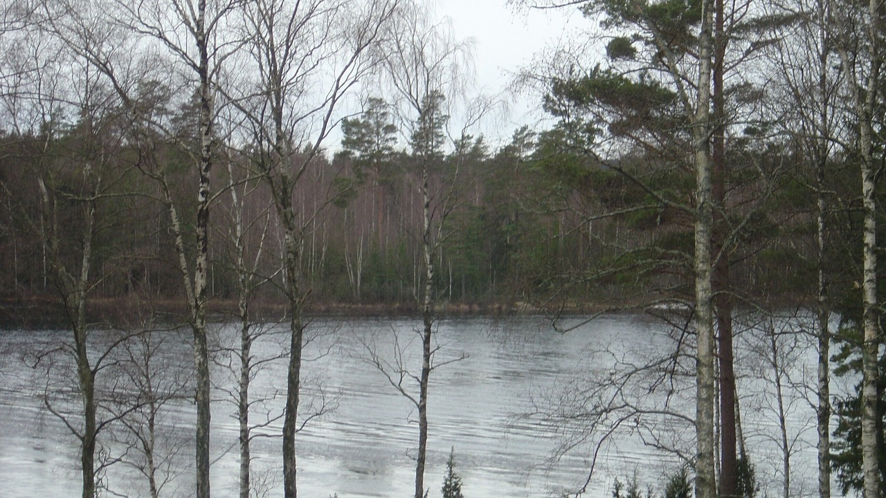 Photo of Others in Tingsryd