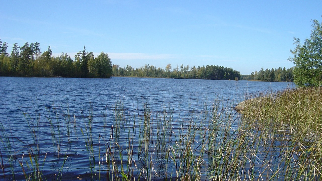 Photo of Others in Tingsryd