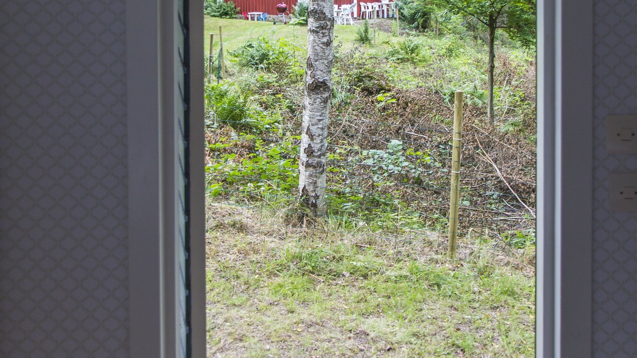 Photo of Others in Fagelmara