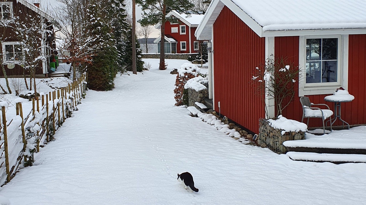 Photo of Outdoor in Almhult