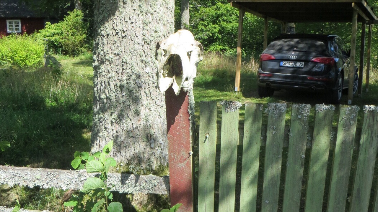 Photo of Outdoor in Torsas Municipality