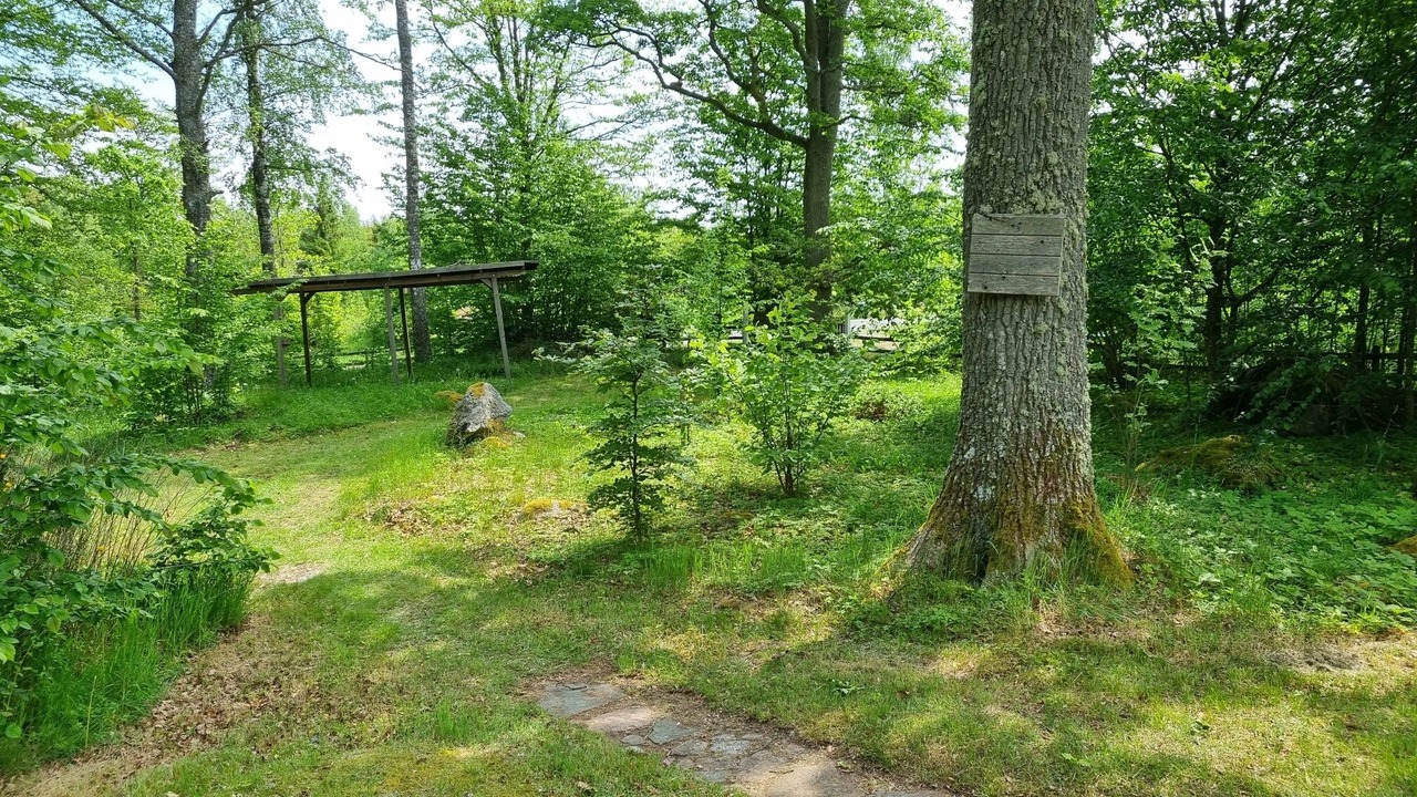 Photo of Outdoor in Torsas Municipality