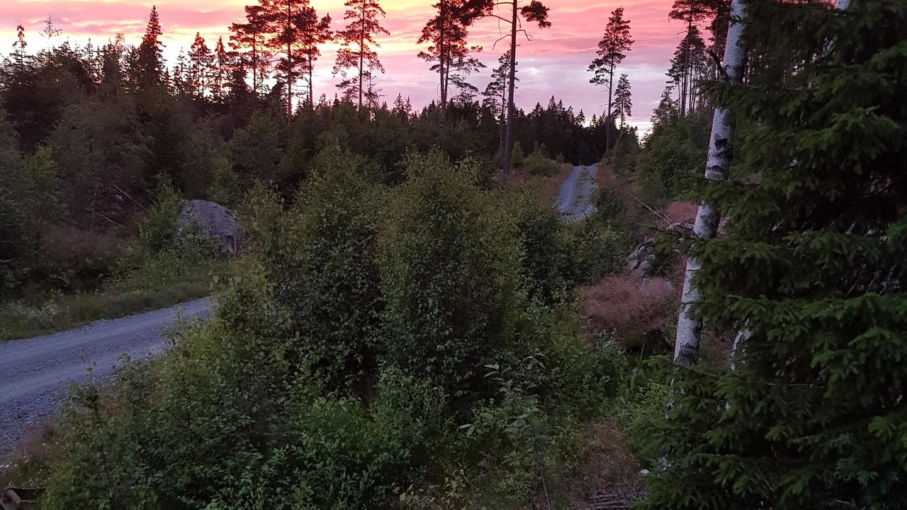 Photo of Outdoor in Vetlanda Municipality