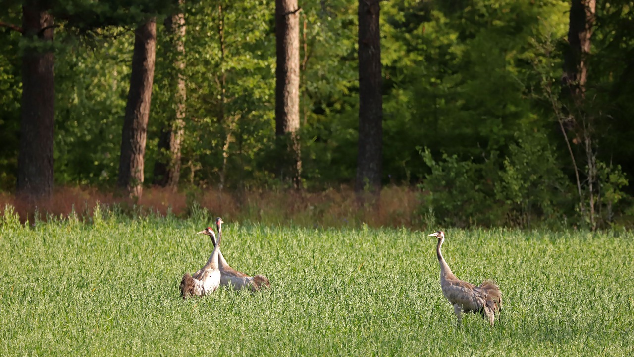 Photo of Outdoor in Vetlanda Municipality