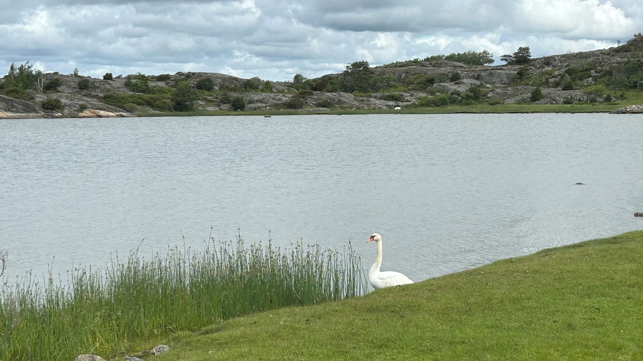 Photo of Others in Torslanda