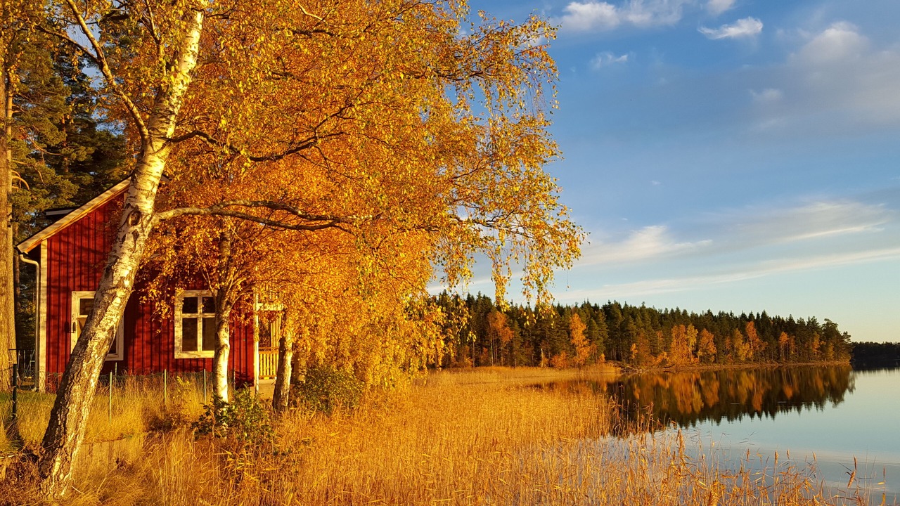 Photo of Outdoor in Rottne