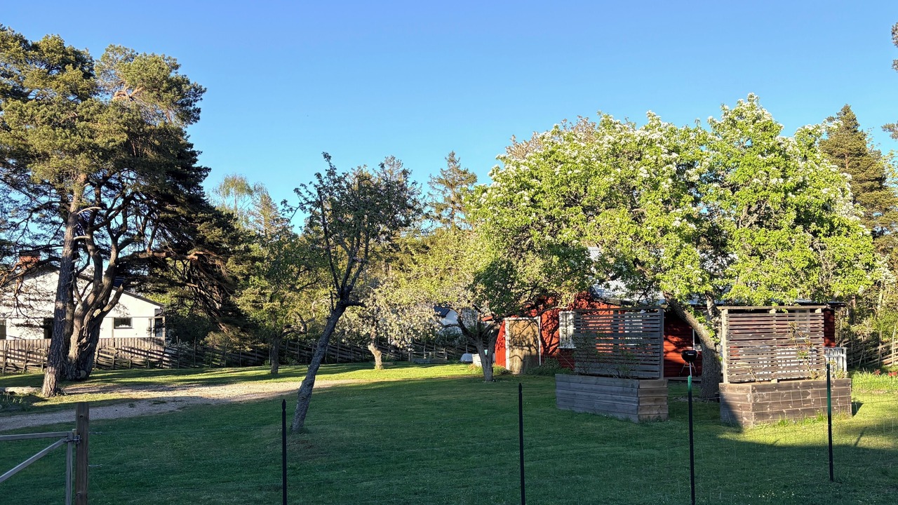 Photo of Outdoor in Visby