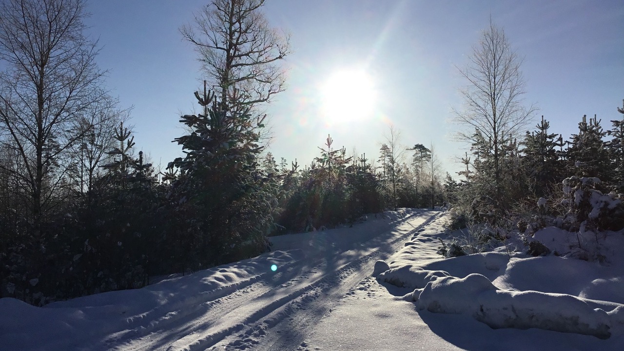 Photo of Others in Nissafors