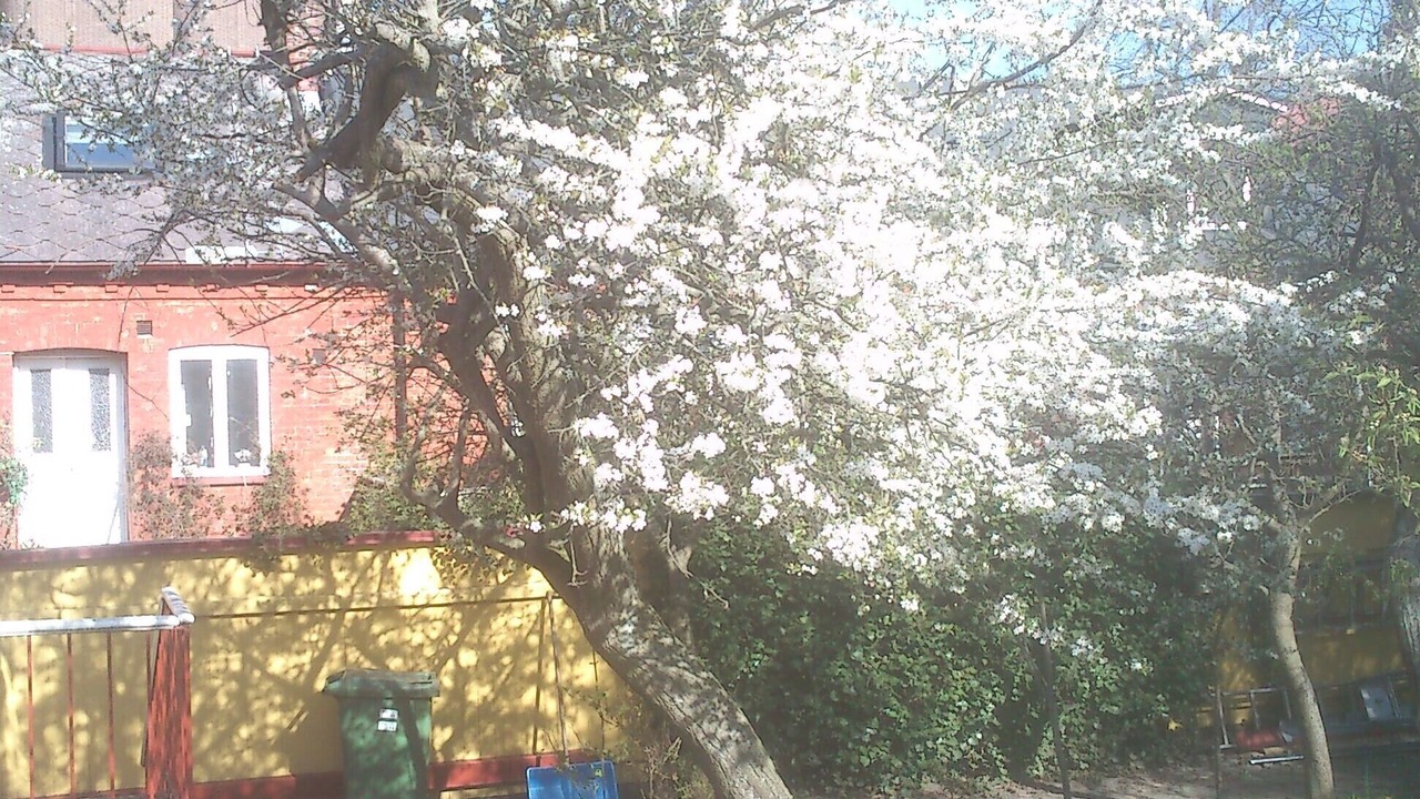 Photo of Outdoor in Innerstaden
