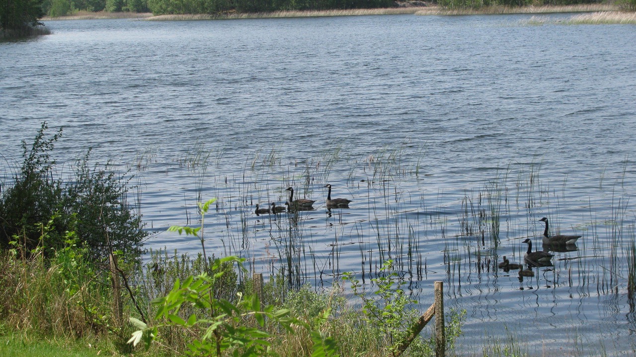 Photo of Outdoor in Solnehult