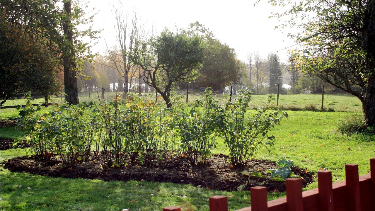 Photo of Outdoor in Sissehult
