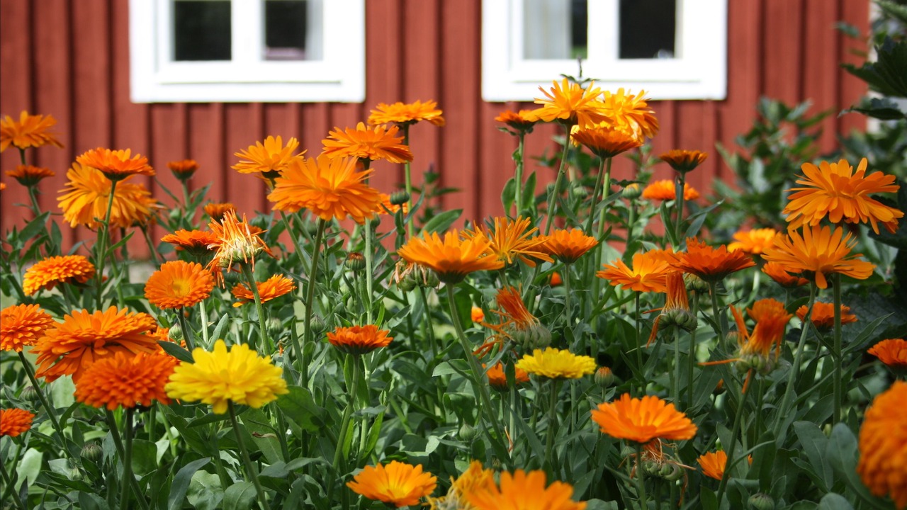 Photo of Outdoor in Sissehult